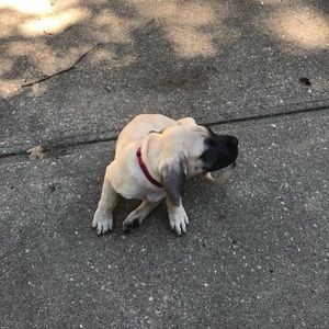 Meet your Posher, Cj